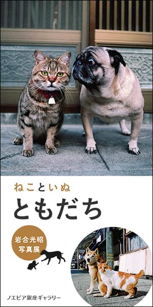 岩合光昭写真展「ねこといぬ　ともだち」