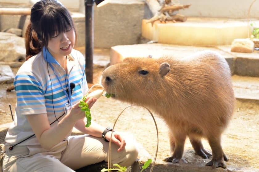 生きものたちの無病息災を願って、
「春の七草エンリッチメント」を開催。