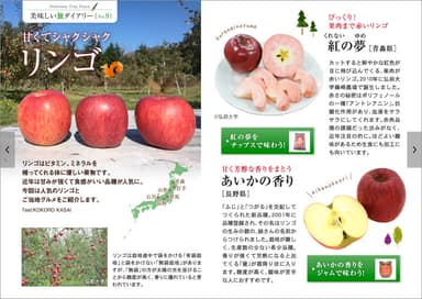 「旅色Seasonal Style」Vol.39　美味しい旅ダイアリー