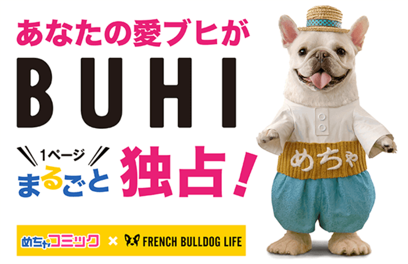 フレンチブルドッグ専門誌「BUHI」で１ページ独占のグラビアデビューができる！
めちゃコミック（めちゃコミ）×「FRENCH BULLDOG LIFE」
Instagram投稿キャンペーンを開始！