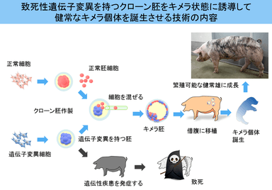 添付図2