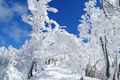 高見山