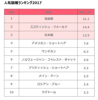 人気猫種ランキング