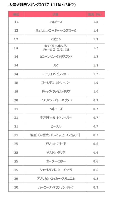 人気犬種ランキング（11位～30位）