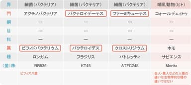 生体の分類と菌(株)の位置づけ