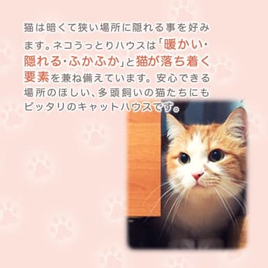 ネコは狭くて暗い場所を好みます