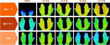 【サーモグラフィによる検証・手の甲】