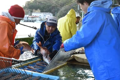 水揚げの様子