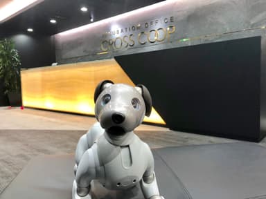 オフィス写真 aibo(アイボ) イメージ