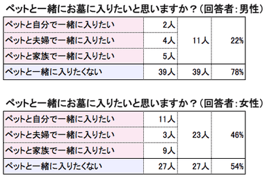 アンケート