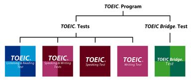 TOEIC(R) Program　体系図