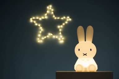 MIFFY FIRST LIGHTメインイメージ