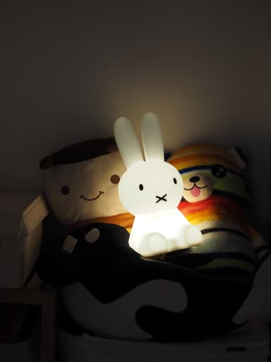 MIFFY FIRST LIGHT NIGHTイメージ6