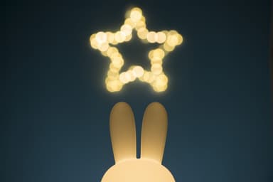 MIFFY FIRST LIGHTイメージ4