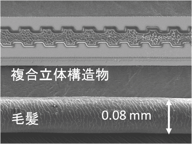 試作した立体構造物と毛髪の比較