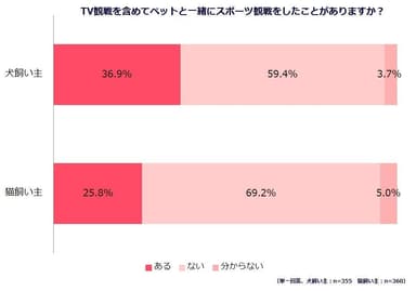 グラフ２