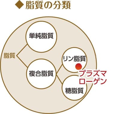 脂質の分類図