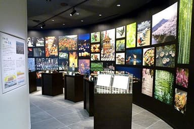 食文化の発信へ「Taiwa Museum」