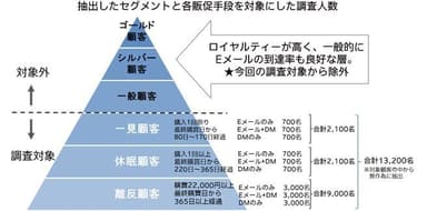 抽出したセグメントと各販促手段を対象にした調査人数