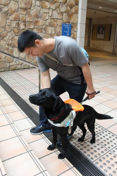 盲導犬訓練デモンストレーション