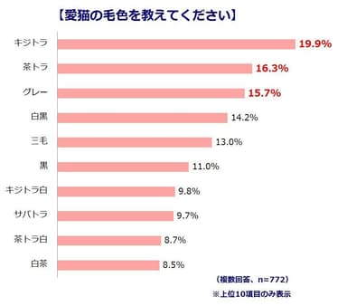 調査結果１