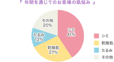 年間を通じたお客様の肌悩み　グラフ