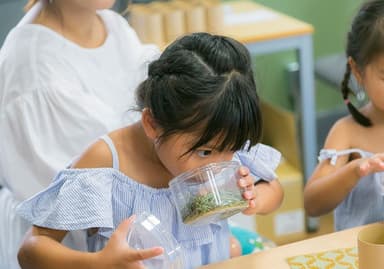 い草の持つアッと驚く消臭効果？！