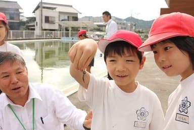 学校周辺を散策しながら身近にいる生き物を観察