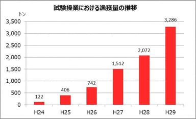 試験操業における漁獲量の推移