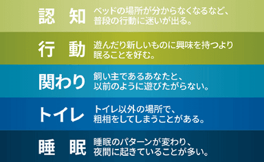 見逃さないで、老化のサイン