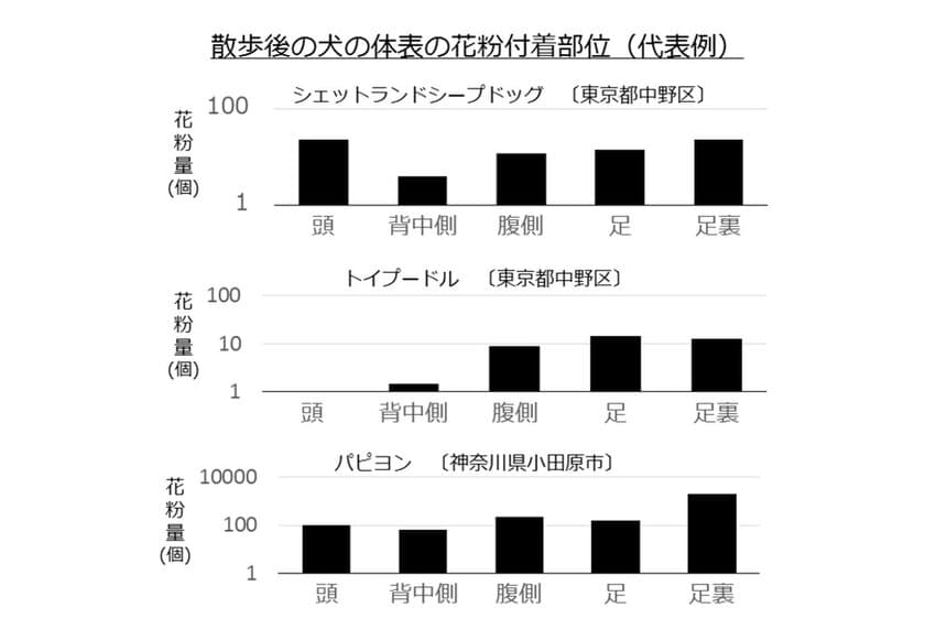 花粉がペットの体毛に付着し室内に持ち込まれることを確認
　ペット用ボディケア製品による対策が有効であることを発表