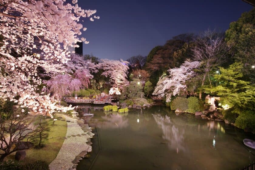 大人のお花見レストラン『神楽』原宿に3月26日オープン
　桜が一面に広がる日本庭園が“非日常”を演出