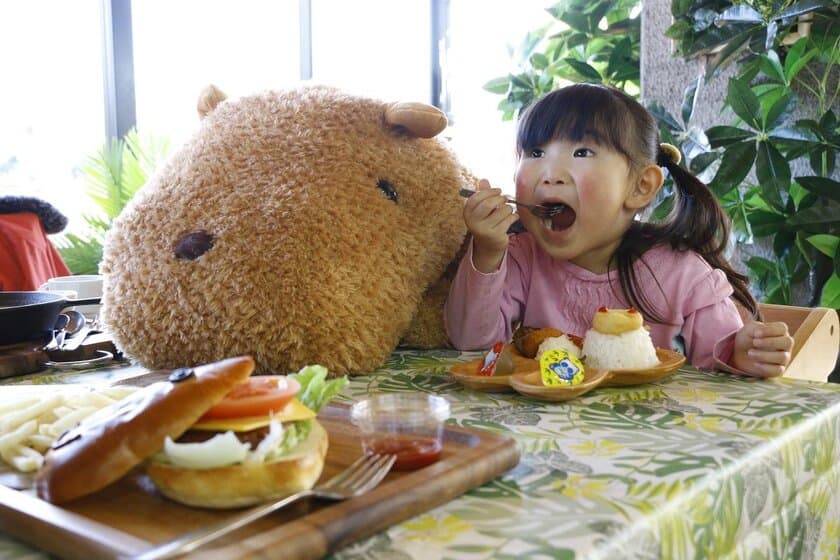 伊豆シャボテン動物公園のレストランがリニューアル
『森のどうぶつレストラン ギボン亭』