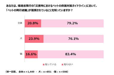 調査結果9