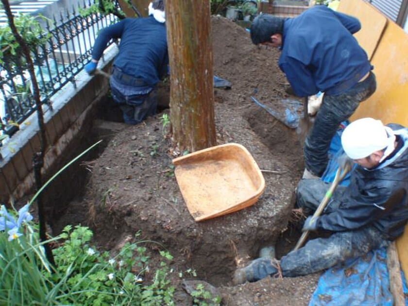 生前整理・遺品整理で実は困っているもの、自宅の植物！
愛着ある植物たちを託せる「植木の里親」、6年で10倍以上の依頼