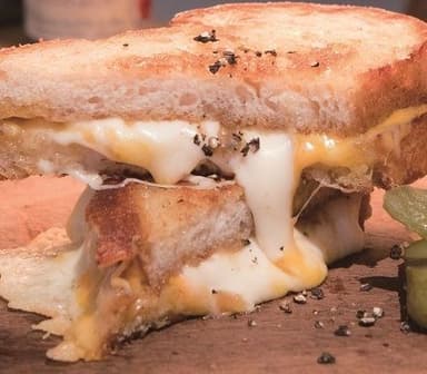 Grilled cheese  sandwich