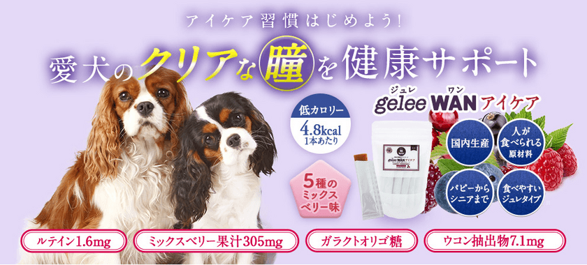 愛犬の瞳のトラブル予防に！犬用アイケアサプリメント
『gelee WAN アイケア』を3月16日より販売開始