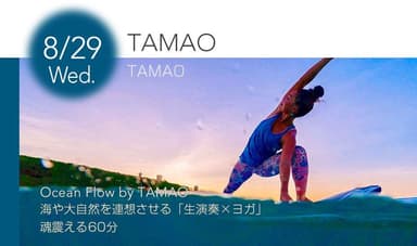 8.29 TAMAO