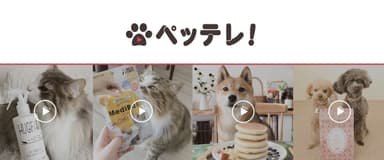 ペット動画コマース『ペッテレ！』