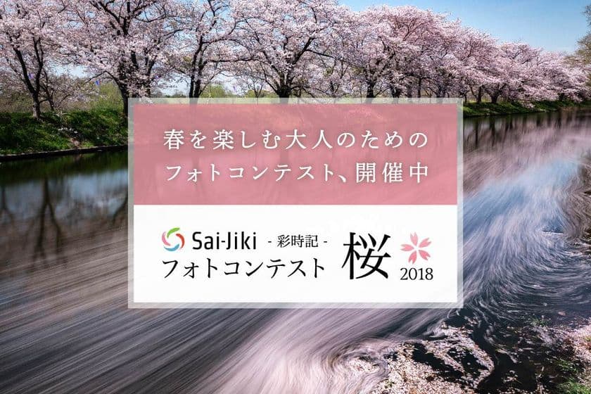 「桜」をテーマにしたフォトコンテストを開催！
大人が楽しめる写真SNSサイト「彩時記」にて5月14日まで募集