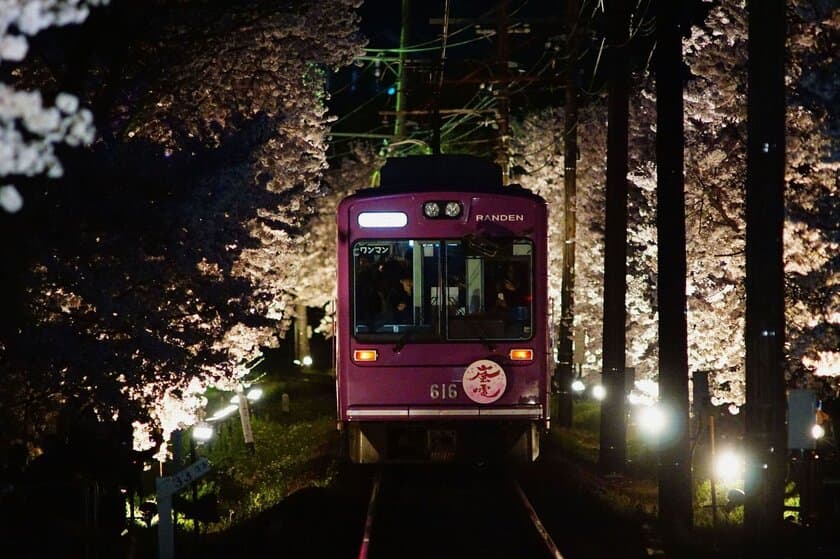 ～嵐電沿線の春の訪れ～
嵐電“桜のトンネル”ライトアップと
「夜桜電車」の運行について