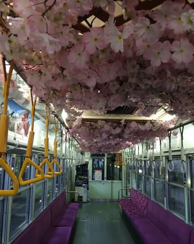 桜電車