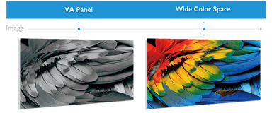 VAパネル採用／DCI-P3カバー率95％