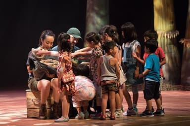 昨年の様子(写真：小池 哲夫)