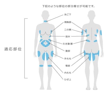 適応部位