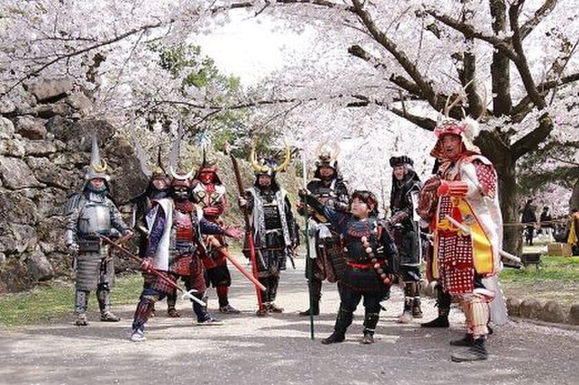 満開は待ってくれている！信州小諸「桜まつり」
標高差1,000mだからこそ約1ヶ月間楽しめる桜の数々