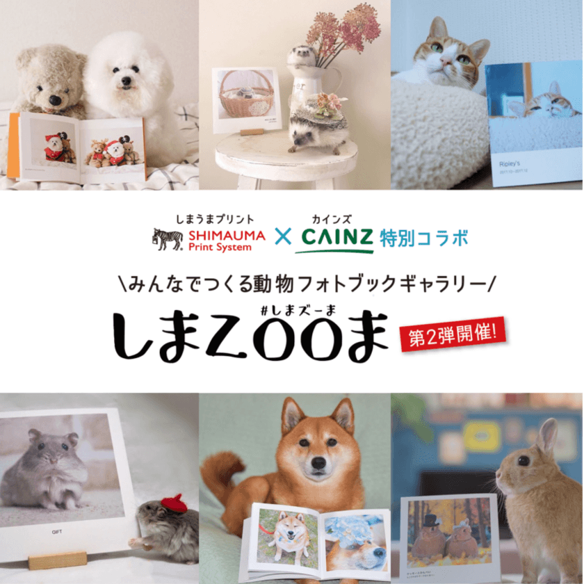 1,500冊の動物フォトブックが大集合！
来場者にはもれなくフォトブック1冊無料クーポンプレゼントも　
「みんなでつくるフォトブック動物園 しまZOOま」第2弾　
4/14(土)・15(日)カインズSUNAMO店にて開催！