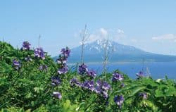 礼文島から見た利尻富士