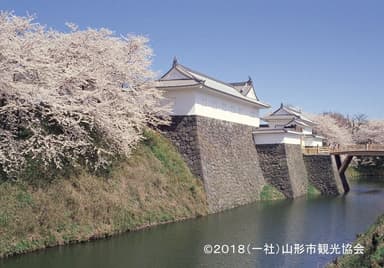 【山形市】霞城公園の桜