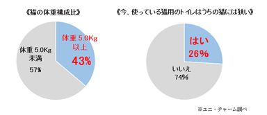 《猫の体重構成比》《今、使っている猫用のトイレはうちの猫には狭い》